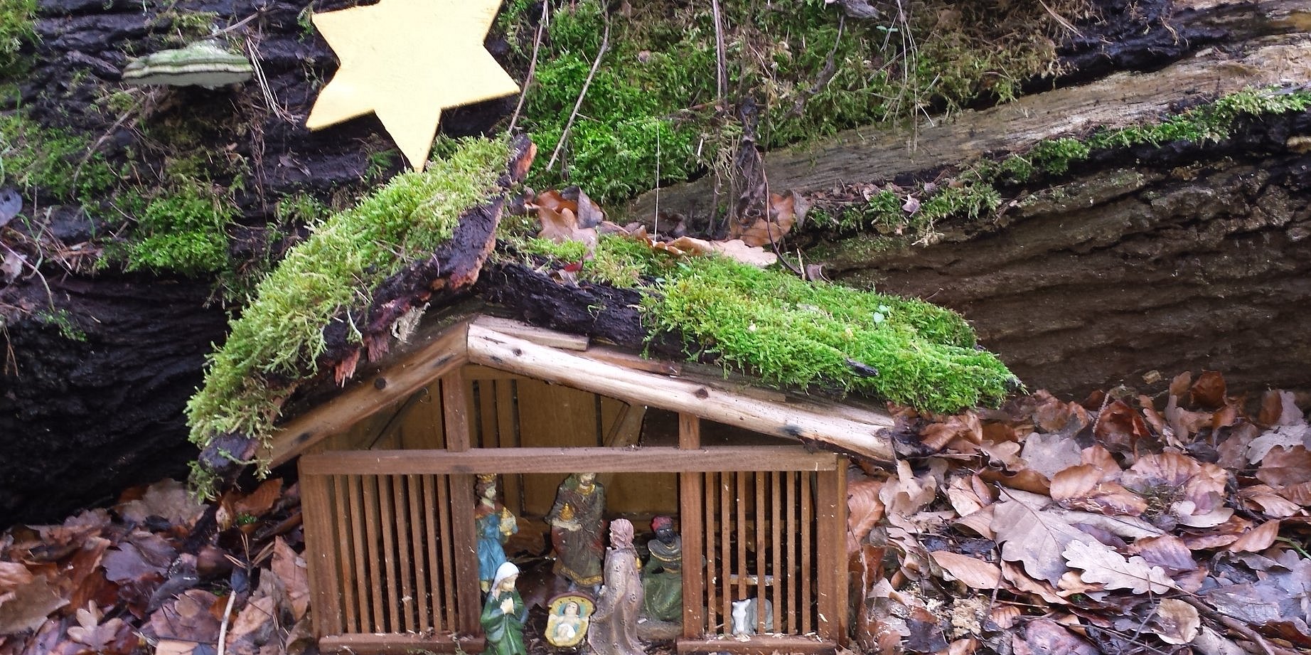 Krippenweg Oberbessingen 2019